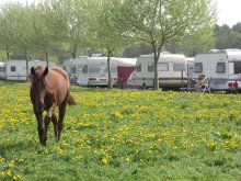 Aldorrum bed en botteram camping, Aarle-Rixtel Noord Brabant
