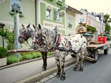 Hotel zur Post in Oostenrijk, geschikt voor mindervaliden